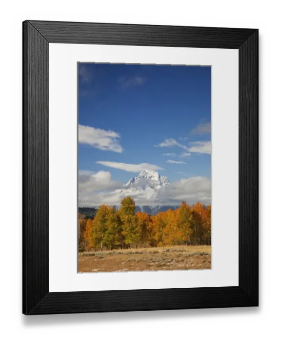 Framed Print : USA, Wyoming, Grand Teton National Park, Aspen Trees and Clouds with Mount Moran Framed Print : USA, Wyoming, Grand Teton National Park, Aspen Trees and Clouds with Mount Moran