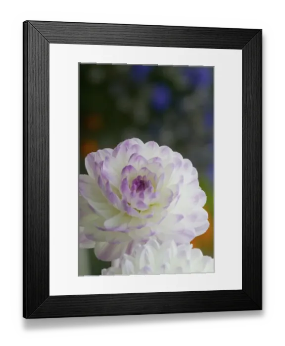Framed Print : USA, North America, Washington Framed Print : USA, North America, Washington