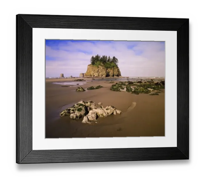 Framed Print : WA, Olympic National Park, Second Beach, tidepools and seastacks at low tide Framed Print : WA, Olympic National Park, Second Beach, tidepools and seastacks at low tide