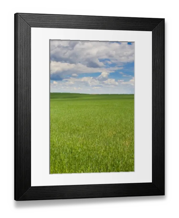 Framed Print : USA, North America, Washington