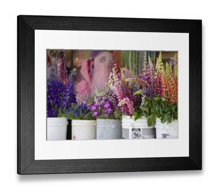 Framed Print : WA, Seattle, flowers for sale, at the Pike Place Market Framed Print : WA, Seattle, flowers for sale, at the Pike Place Market