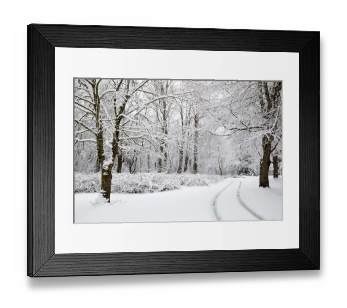Framed Print : WA, Issaquah, Lake Sammamish State Park Framed Print : WA, Issaquah, Lake Sammamish State Park
