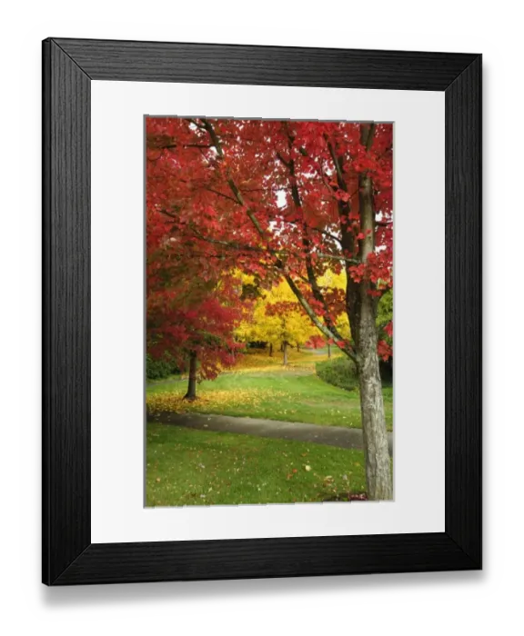 Framed Print : USA, Washington Framed Print : USA, Washington