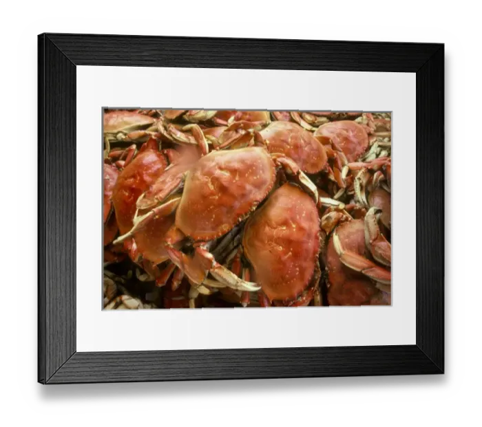 Framed Print : Fresh crab in Pike Street Market, Seattle, Washington, USA