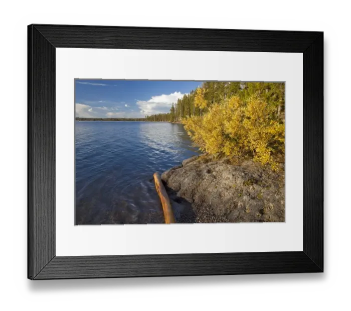 Framed Print : USA, North America, Wyoming