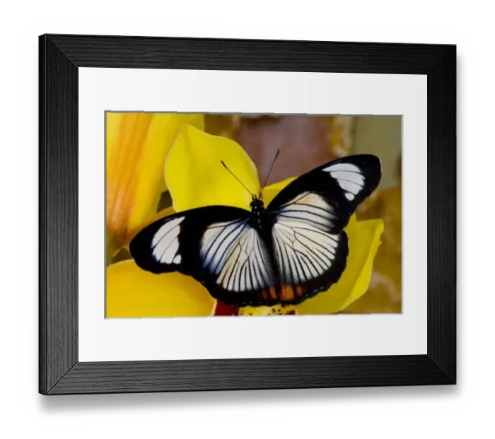 Framed Print : USA, North America, Washington Framed Print : USA, North America, Washington