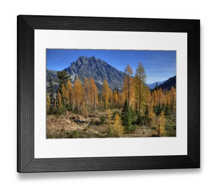 Framed Print : WA, Alpine Lakes Wilderness, Mt. Stuart with golden larch trees Framed Print : WA, Alpine Lakes Wilderness, Mt. Stuart with golden larch trees