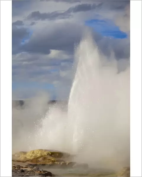 Clepsydra Geyser erupts in late afternoon light in the Lower Geyser Basin of Yellowstone