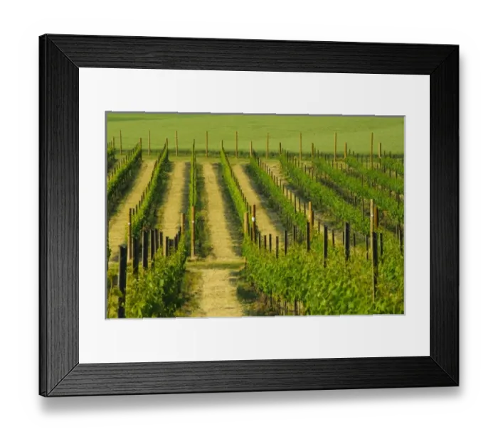Framed Print : USA, North America, Washington
