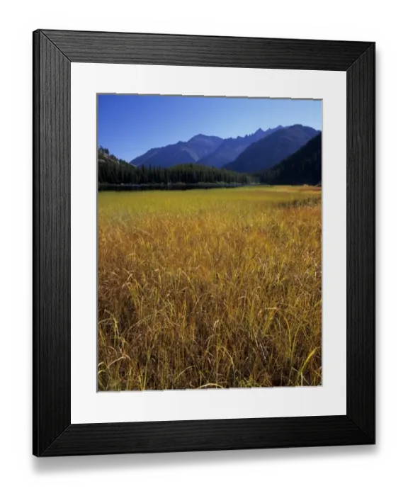 Framed Print : WA, Alpine Lakes Wilderness, grass meadow at Lake Stuart with Enchantment Peaks Framed Print : WA, Alpine Lakes Wilderness, grass meadow at Lake Stuart with Enchantment Peaks