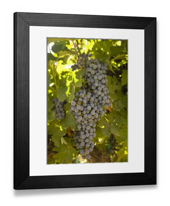 Framed Print : USA, North America, Washington Framed Print : USA, North America, Washington