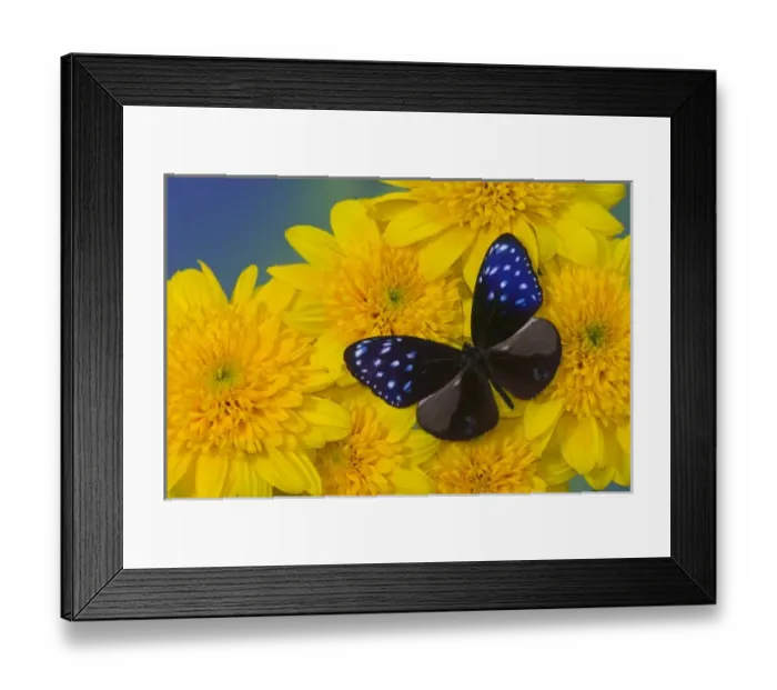 Framed Print : USA, North America, Washington Framed Print : USA, North America, Washington