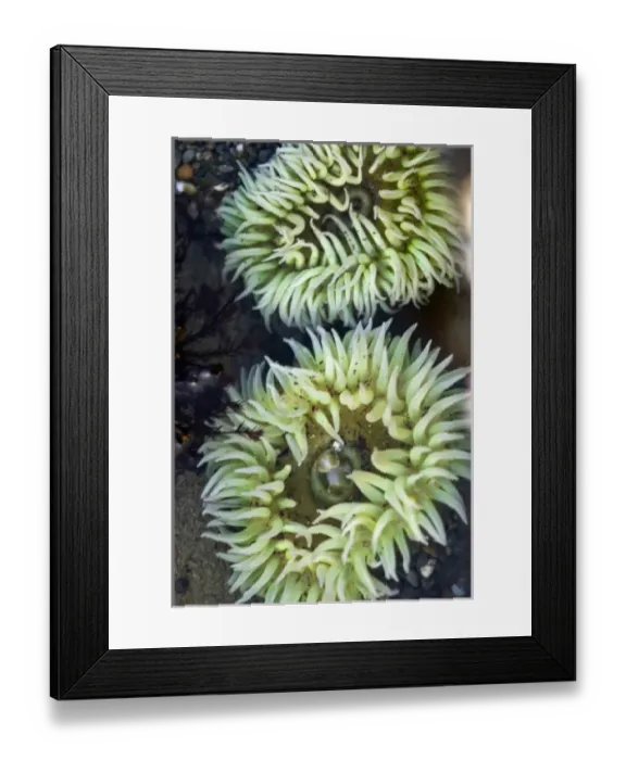 Framed Print : USA, North America, Washington Framed Print : USA, North America, Washington