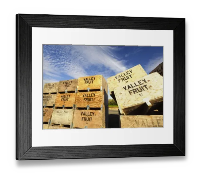 Framed Print : USA, Washington, Yakima Valley. Crates await for the fall fruit harvest Framed Print : USA, Washington, Yakima Valley. Crates await for the fall fruit harvest
