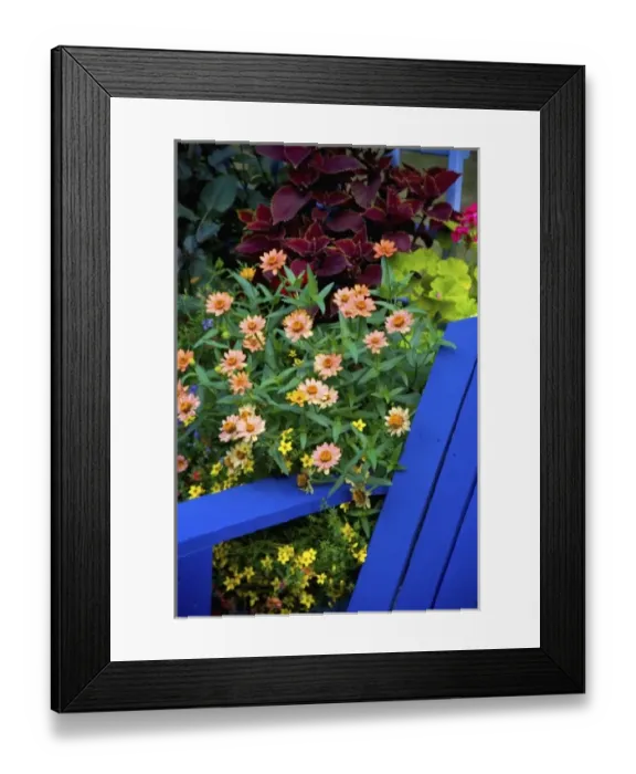 Framed Print : Garden designs in our Garden Sammamish, Washington