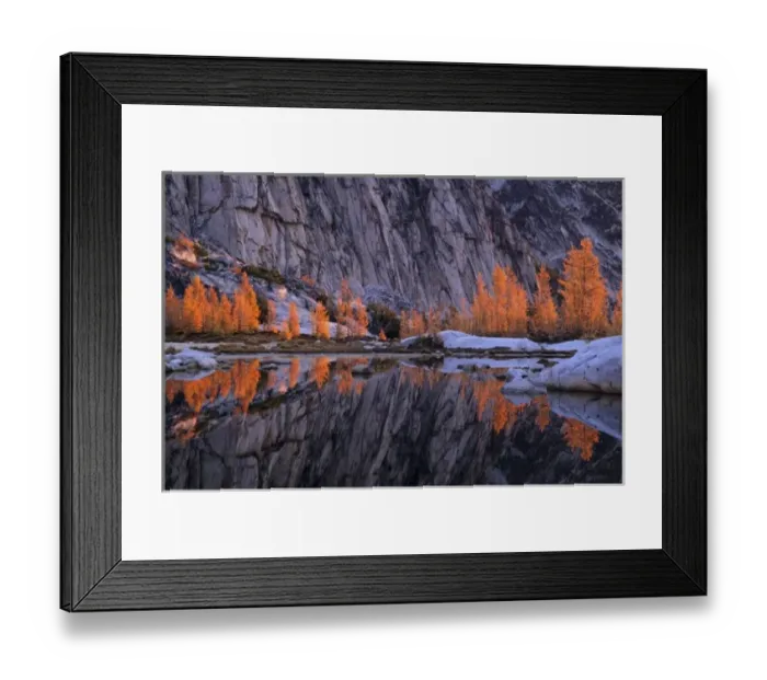 Framed Print : WA, Alpine Lakes Wilderness, Enchantment Lakes, Golden Larch trees reflected in Gnome Framed Print : WA, Alpine Lakes Wilderness, Enchantment Lakes, Golden Larch trees reflected in Gnome