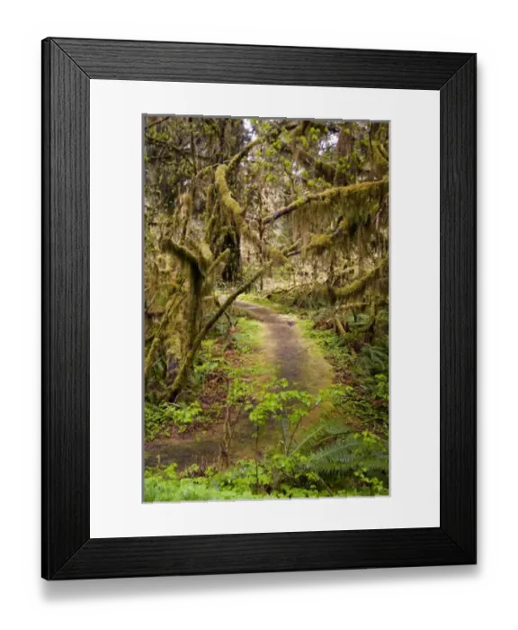 Framed Print : USA, North America, Washington
