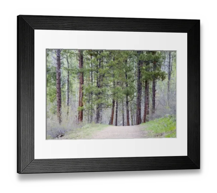 Framed Print : USA, North America, Washington
