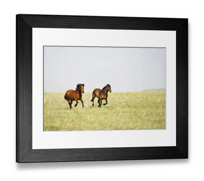 Framed Print : USA, North America, Wyoming Framed Print : USA, North America, Wyoming