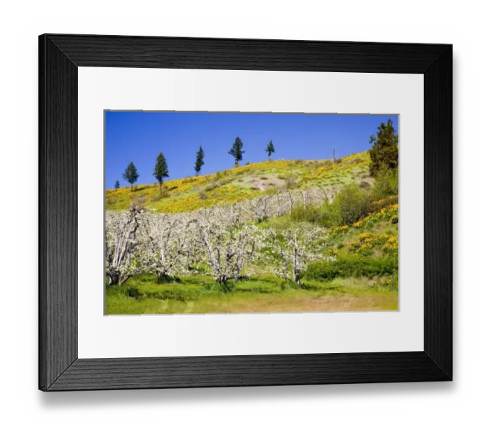 Framed Print : USA, North America, Washington Framed Print : USA, North America, Washington