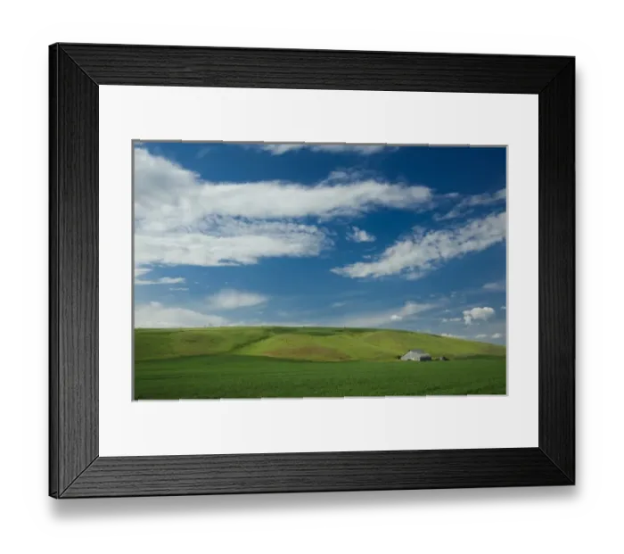Framed Print : USA, Washington, Palouse. Wheat field in Washingtons rich Palouse farmland