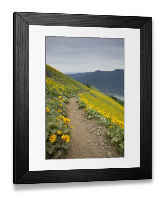 Framed Print : USA, North America, Washington Framed Print : USA, North America, Washington