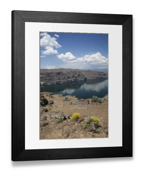 Framed Print : USA, North America, Washington