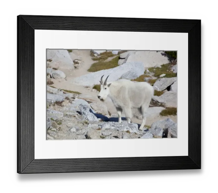 Framed Print : USA, North America, Washington Framed Print : USA, North America, Washington
