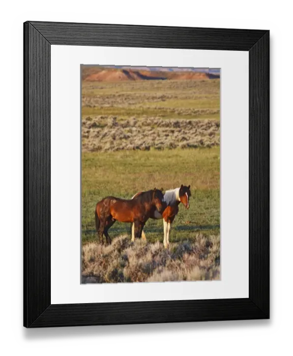 Framed Print : USA, North America, Wyoming Framed Print : USA, North America, Wyoming