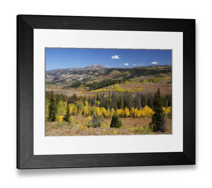 Framed Print : USA, North America, Wyoming