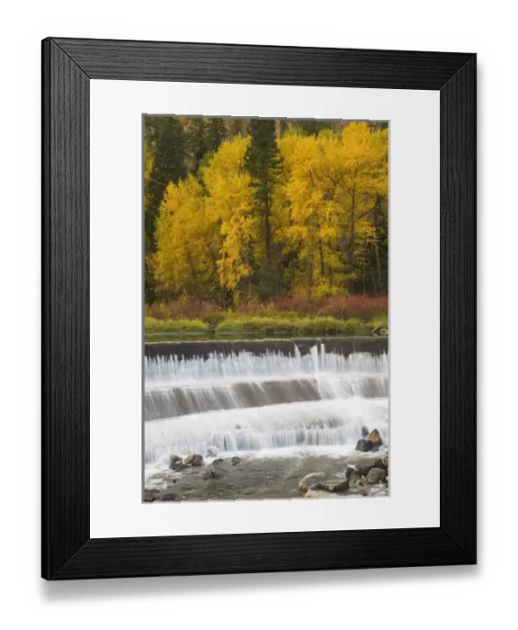 Framed Print : WA, Wenatchee NF, near Leavenworth, Tumwater Canyon; Autumn color along the Wenatchee Framed Print : WA, Wenatchee NF, near Leavenworth, Tumwater Canyon; Autumn color along the Wenatchee