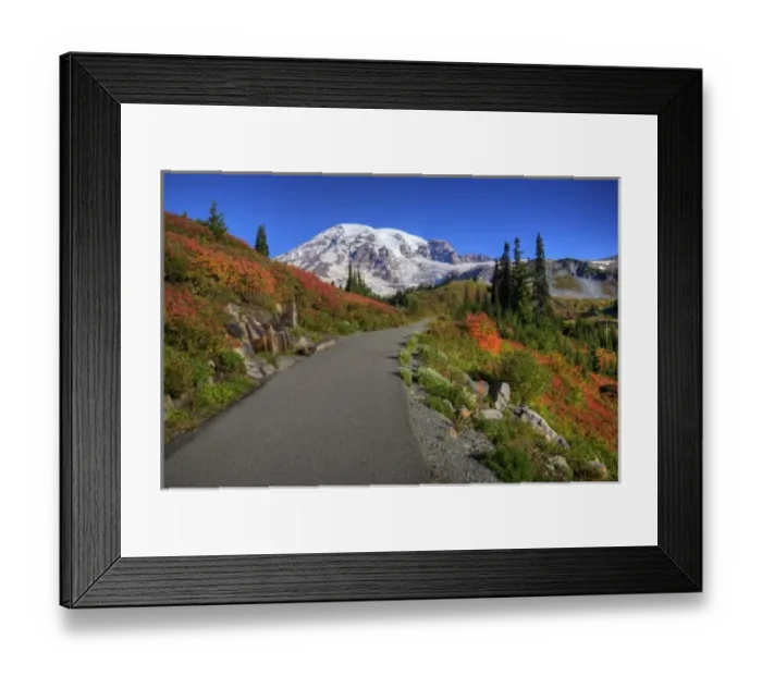 Framed Print : WA, Mt. Rainier National Park, Paradise Valley trail with Mt. Rainier Framed Print : WA, Mt. Rainier National Park, Paradise Valley trail with Mt. Rainier