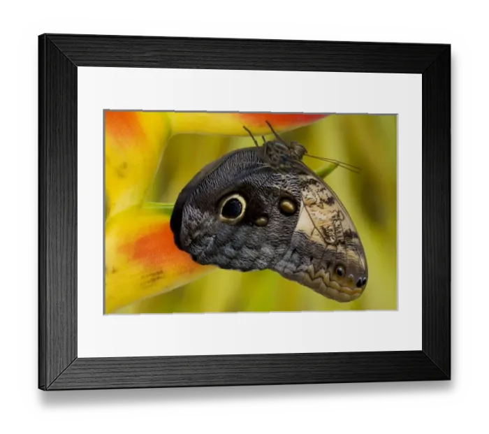 Framed Print : USA, North America, Washington Framed Print : USA, North America, Washington