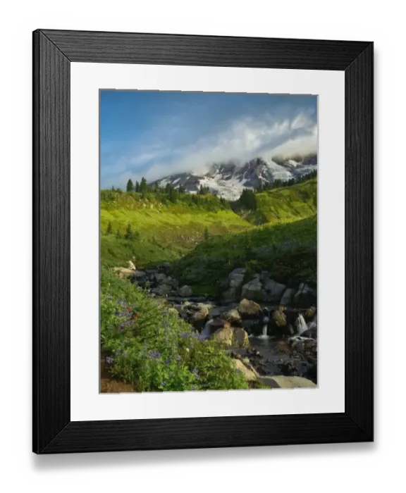 Framed Print : USA, Washington, Mt. Rainier. Summer wildflowers dot Edith Creek in Mt. Rainier National Park Framed Print : USA, Washington, Mt. Rainier. Summer wildflowers dot Edith Creek in Mt. Rainier National Park