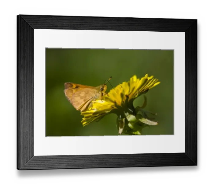 Framed Print : USA, North America, Washington Framed Print : USA, North America, Washington