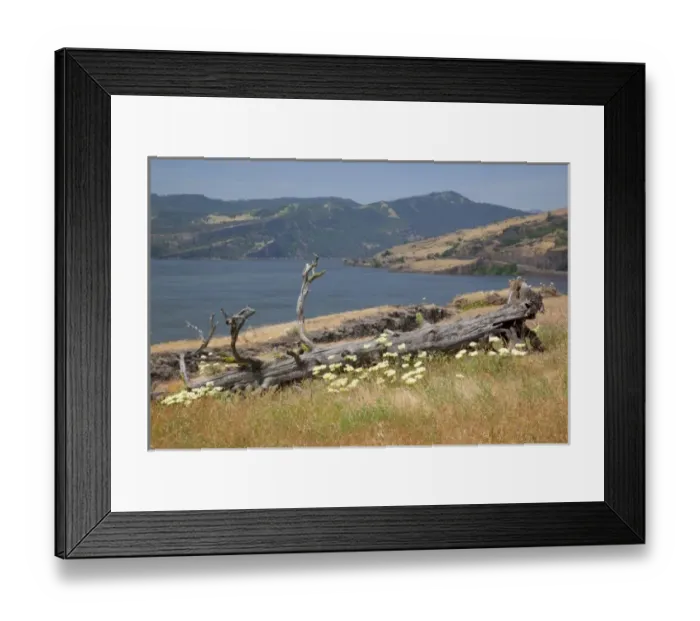 Framed Print : USA, Washington, Columbia River Gorge National Scenic Area, Catherine Creek area