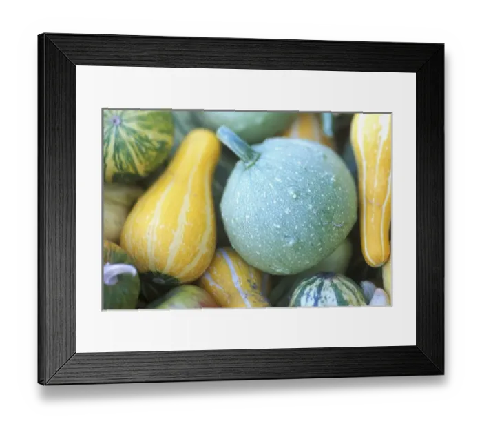 Framed Print : USA, North America, Washington Framed Print : USA, North America, Washington