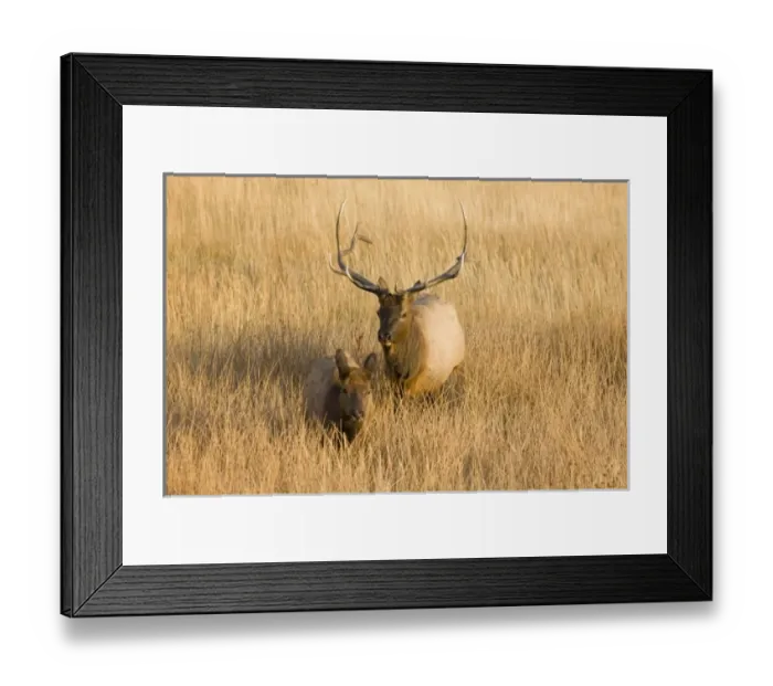Framed Print : USA, North America, Wyoming Framed Print : USA, North America, Wyoming