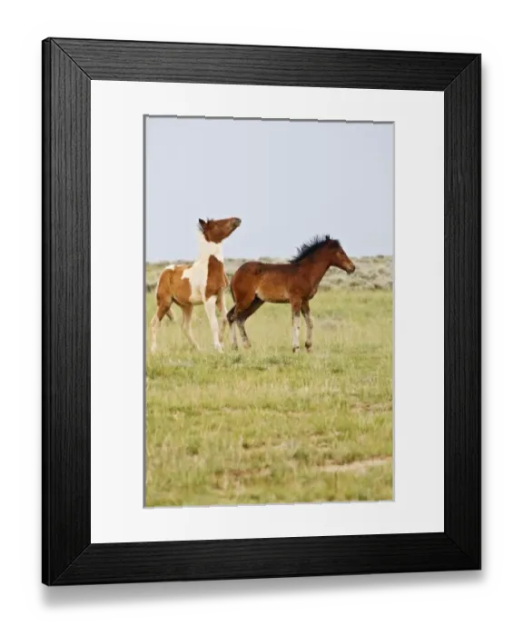 Framed Print : USA, North America, Wyoming Framed Print : USA, North America, Wyoming