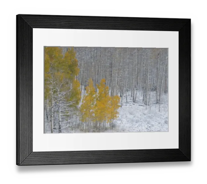 Framed Print : USA, North America, Wyoming Framed Print : USA, North America, Wyoming