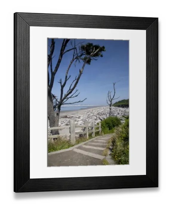 Framed Print : USA, Washington, Olympic National Park, storm tossed logs at Kalaloch Beach Framed Print : USA, Washington, Olympic National Park, storm tossed logs at Kalaloch Beach