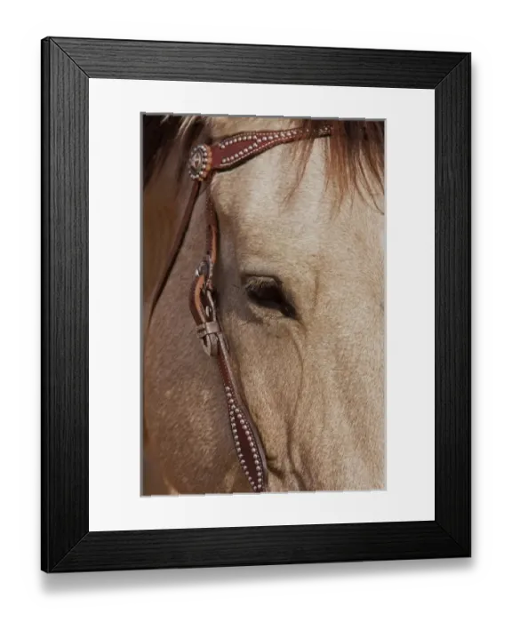 Framed Print : USA, North America, Wyoming