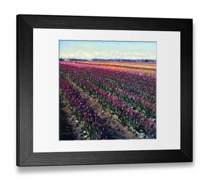 Framed Print : USA, Washington, Skagit Valley. Multi-colored tulip field. Polaroid SX70 Manipulation Framed Print : USA, Washington, Skagit Valley. Multi-colored tulip field. Polaroid SX70 Manipulation