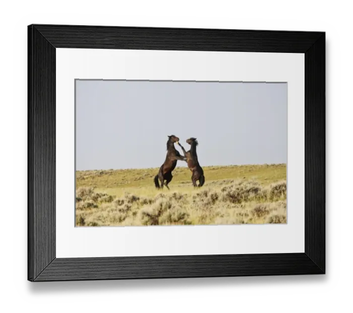 Framed Print : USA, North America, Wyoming Framed Print : USA, North America, Wyoming