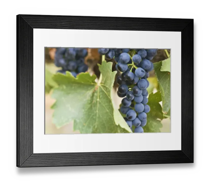 Framed Print : USA, North America, Washington Framed Print : USA, North America, Washington