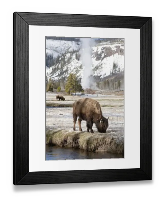 Framed Print : USA, North America, Wyoming Framed Print : USA, North America, Wyoming