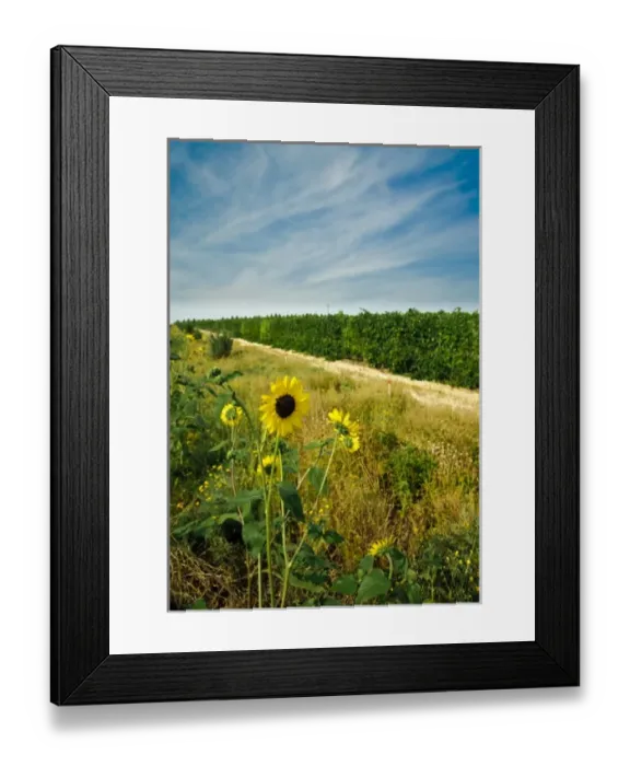 Framed Print : USA, North America, Washington Framed Print : USA, North America, Washington