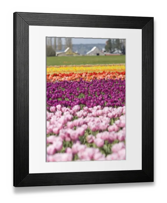 Framed Print : USA, North America, Washington Framed Print : USA, North America, Washington
