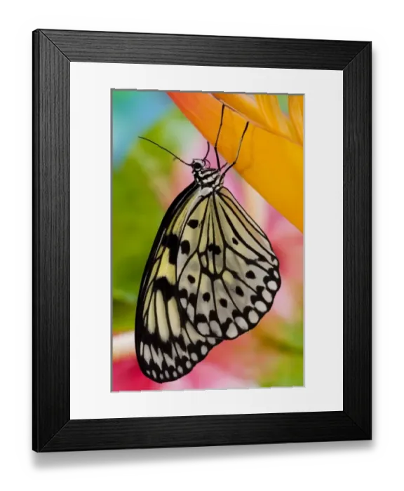 Framed Print : USA, North America, Washington Framed Print : USA, North America, Washington