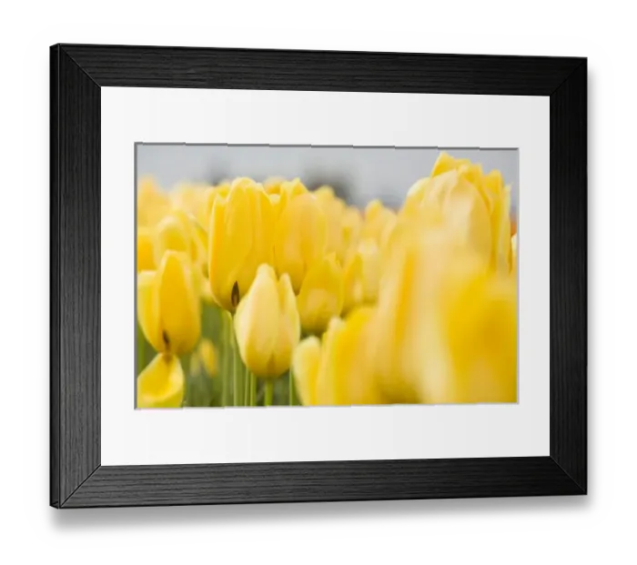 Framed Print : USA, North America, Washington